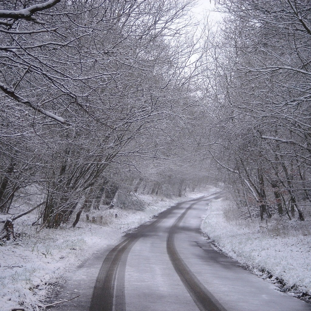 snow scene