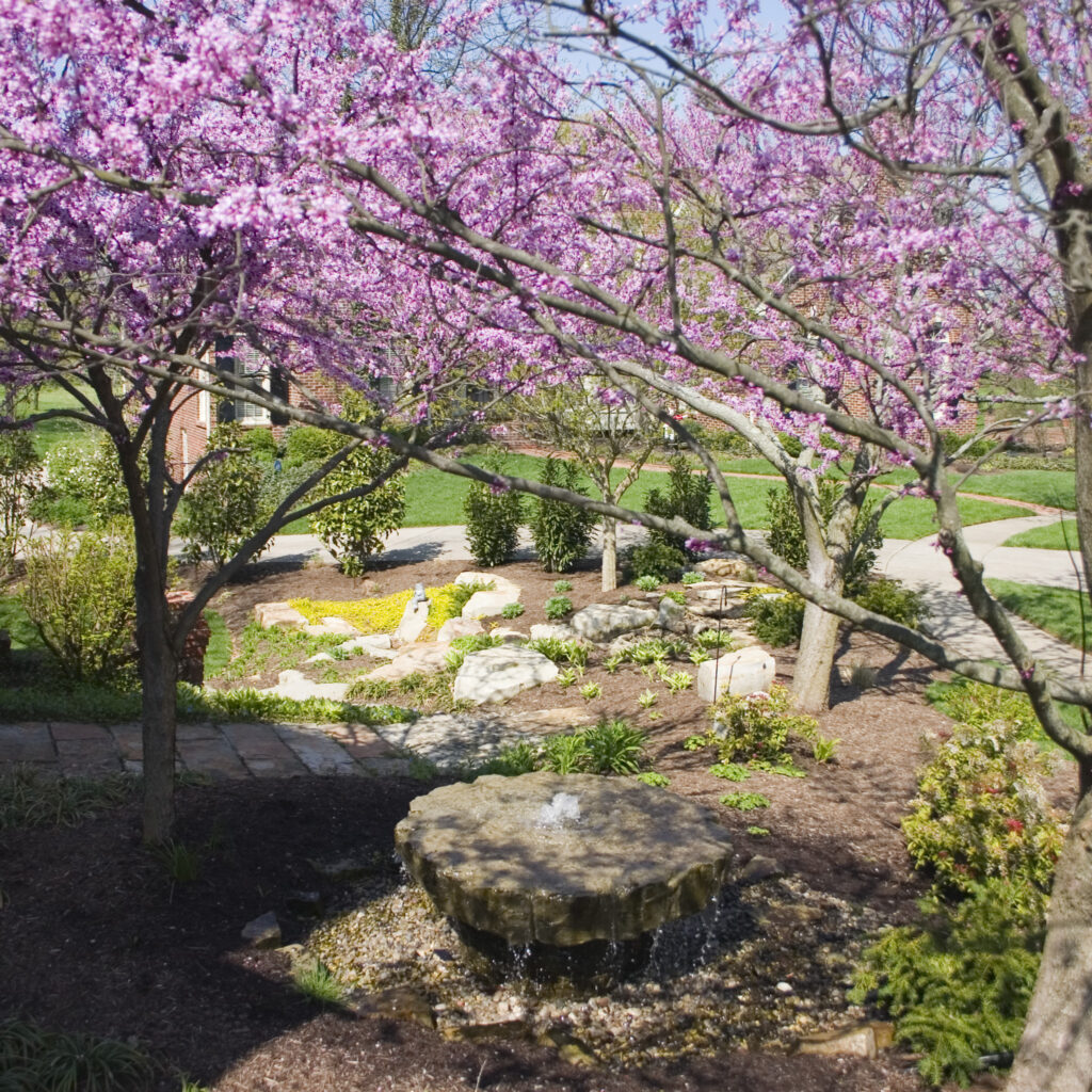 walkway